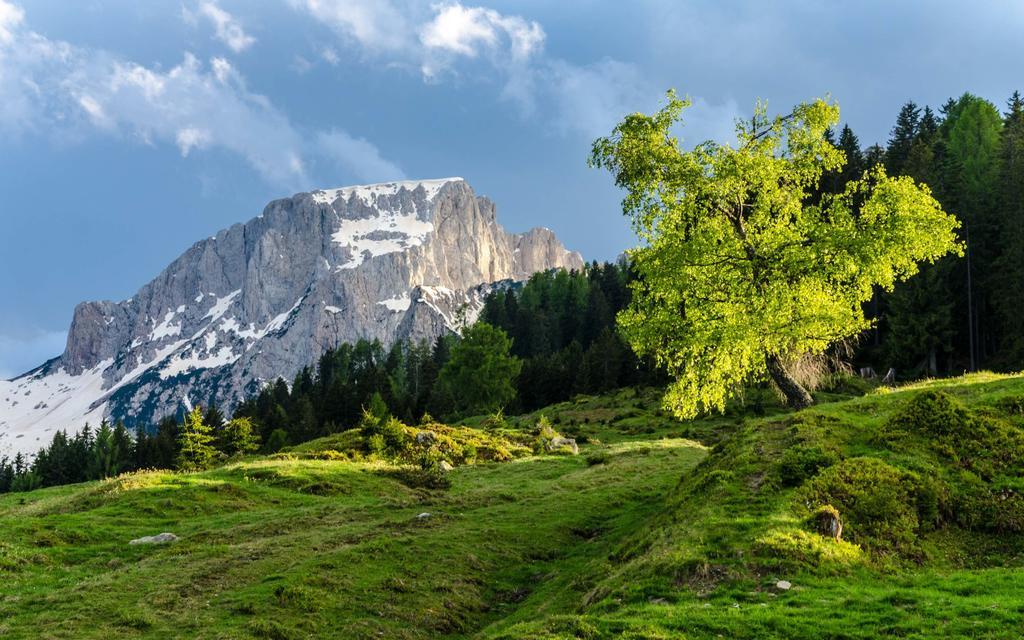 Schoenauerhof Schlanitzen Dış mekan fotoğraf