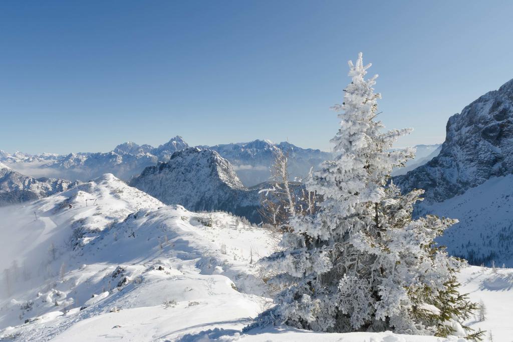 Schoenauerhof Schlanitzen Dış mekan fotoğraf