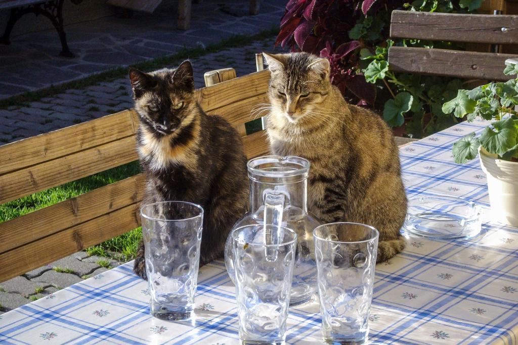 Schoenauerhof Schlanitzen Dış mekan fotoğraf